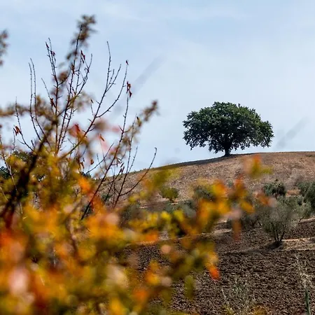La Moiana San Quirico d'Orcia